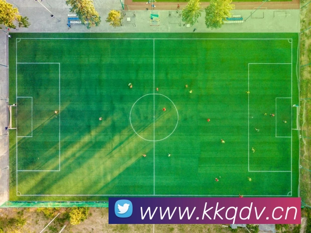 开云在线官方网站发展历程